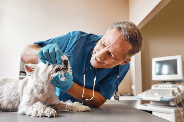 Best Weekend Emergency Dentist in Syracuse, UT