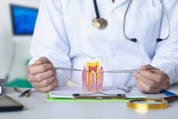 Best Emergency Treatment for Toothache in Syracuse, UT